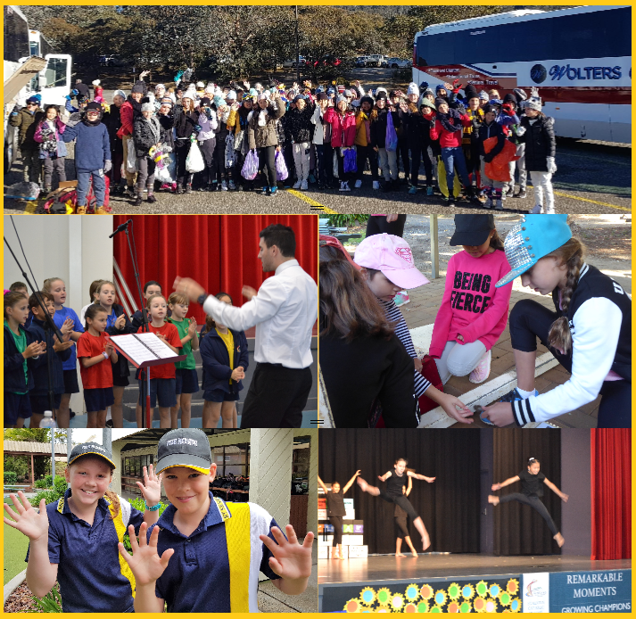 cocurricular collage